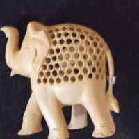 Elephant Inside An Elephant